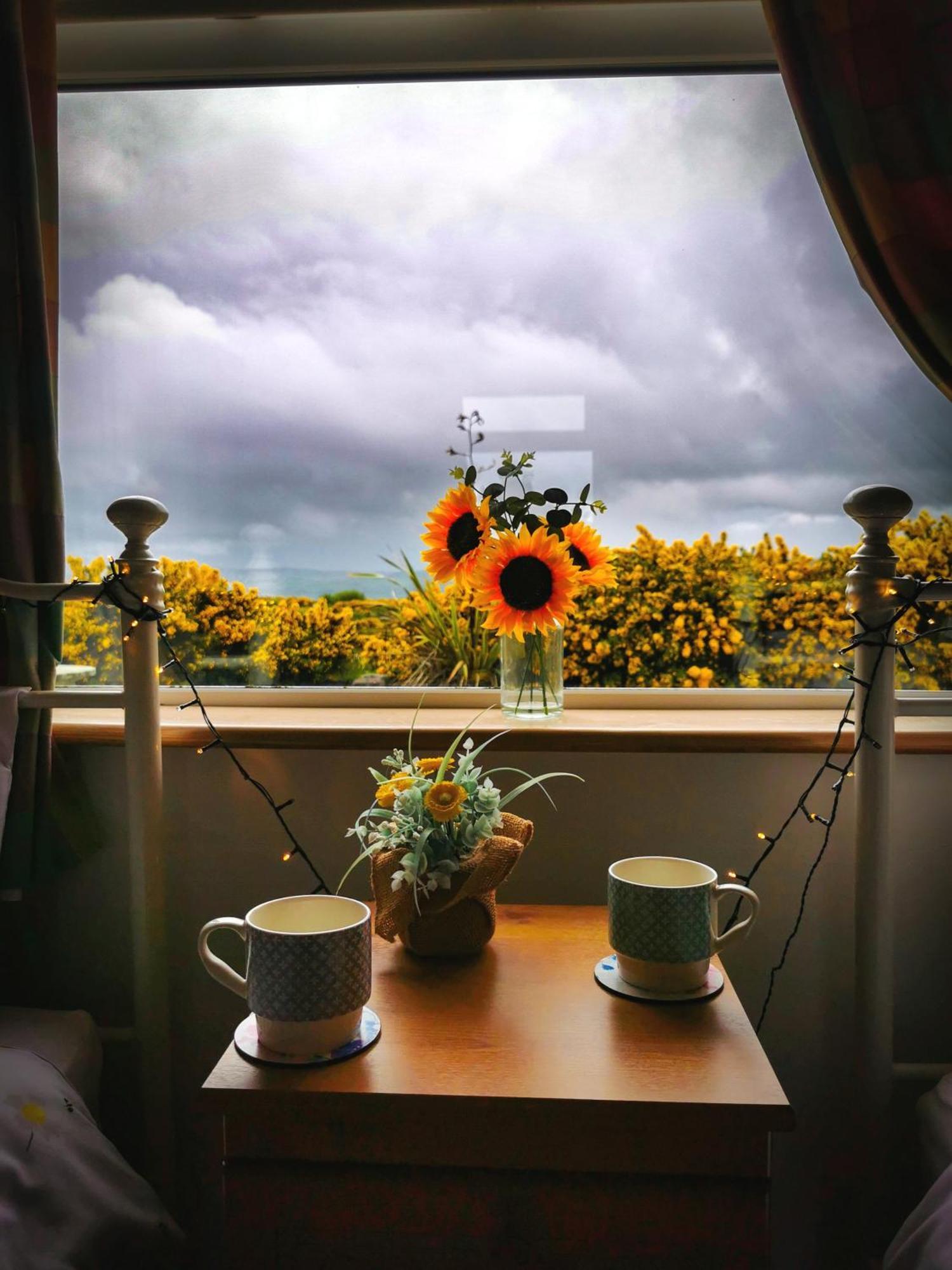 Causeway Coast Country Cottage, Pet-Friendly Ballycastle Exteriör bild